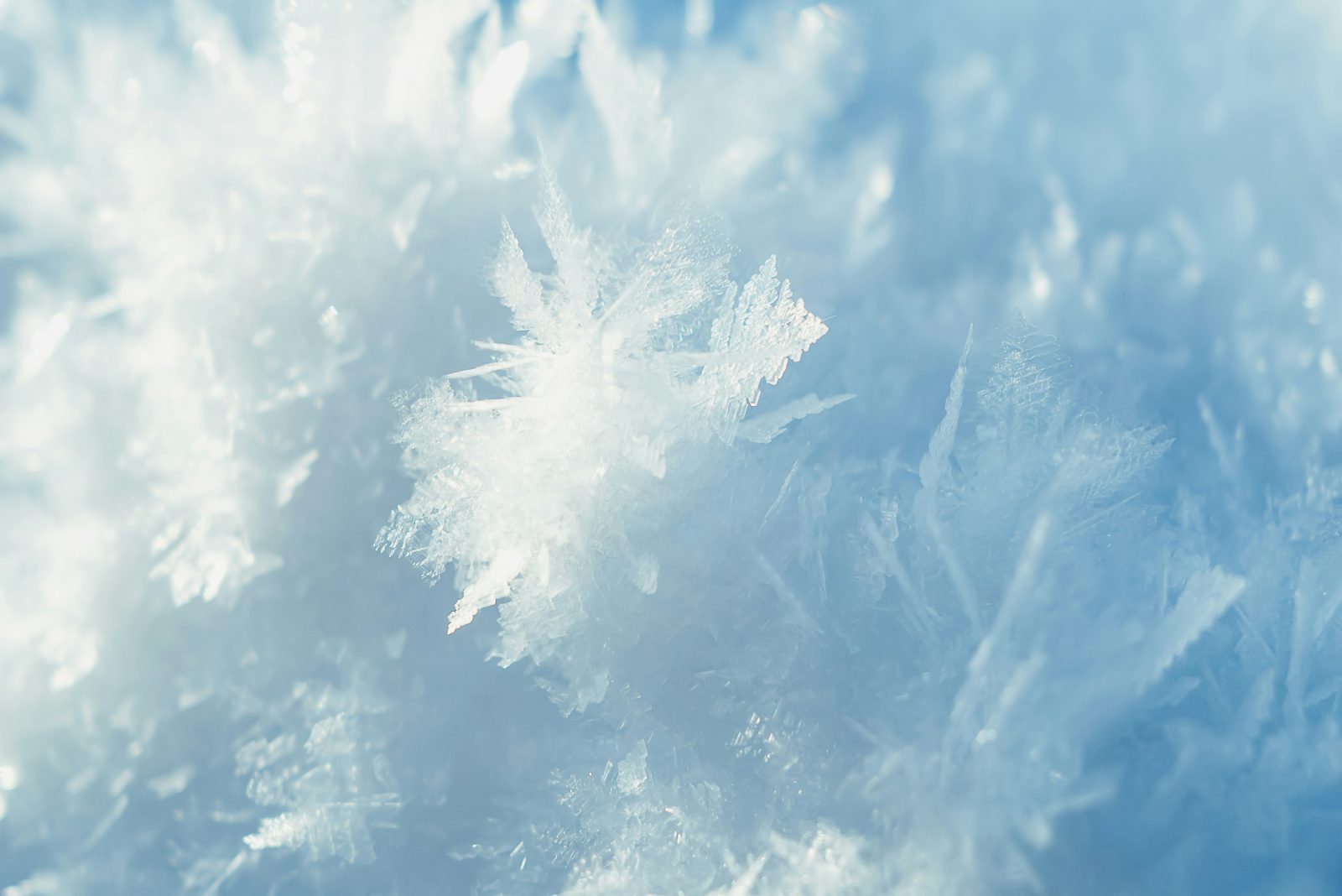 Frost crystals — cryotherapy science